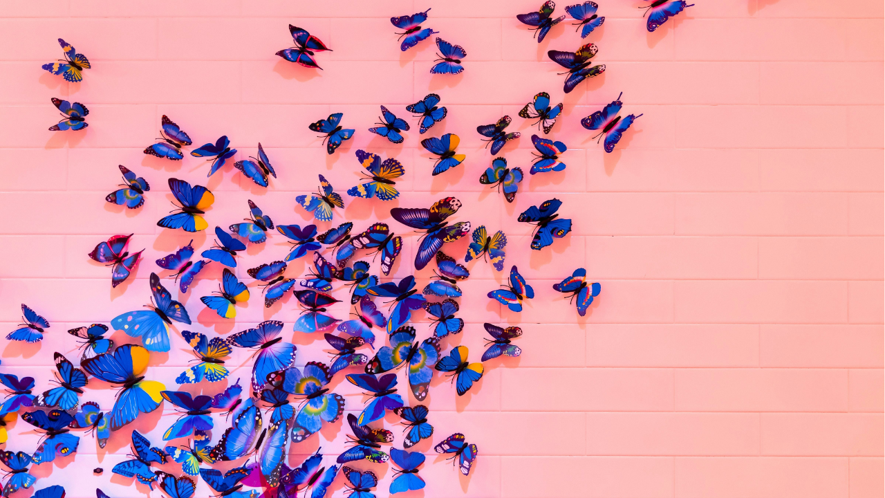 A cluster of vibrant blue butterflies arranged on a pastel pink wall, appearing to fly upward and to the right.