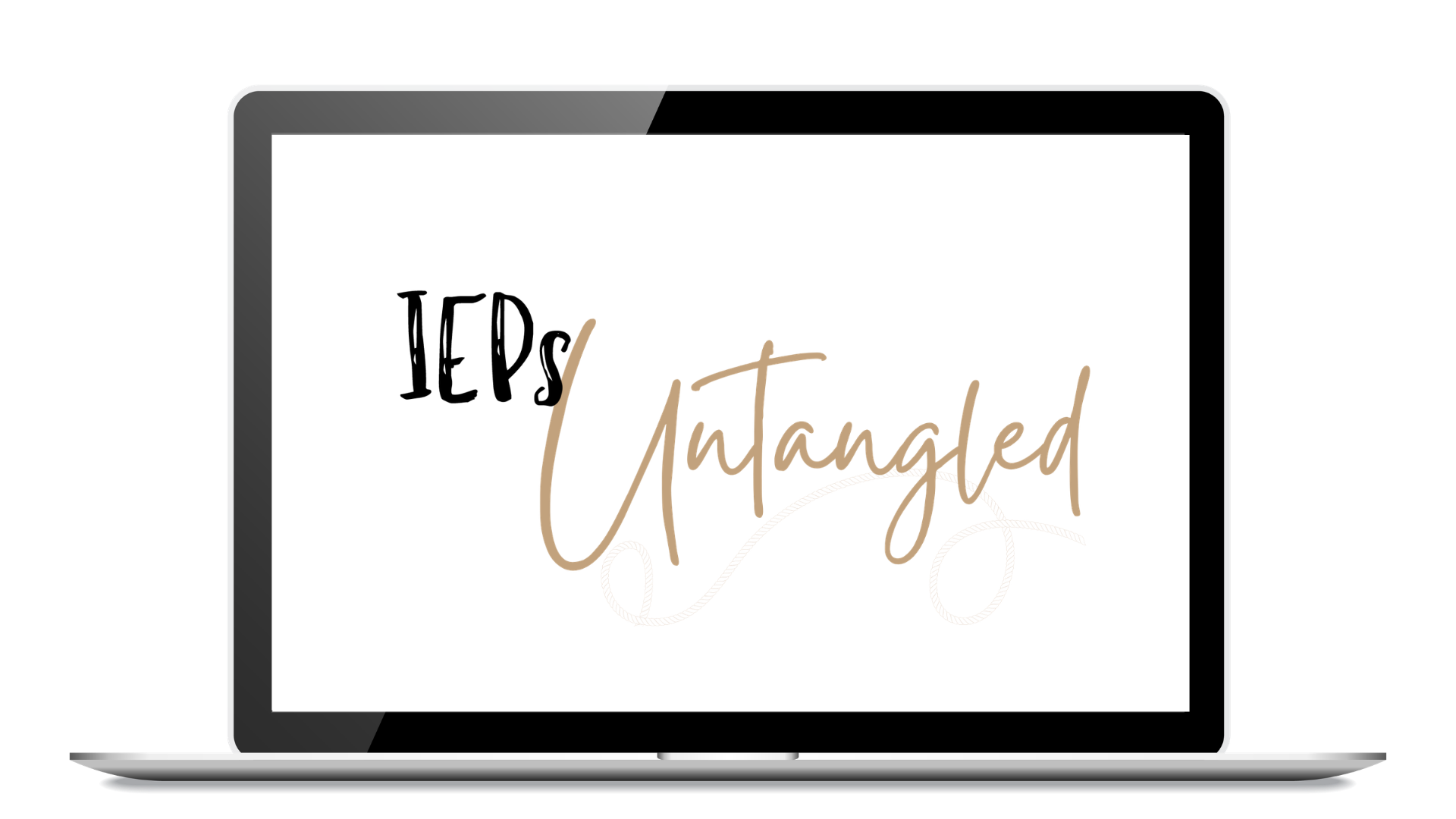 IEPs untangled mockup