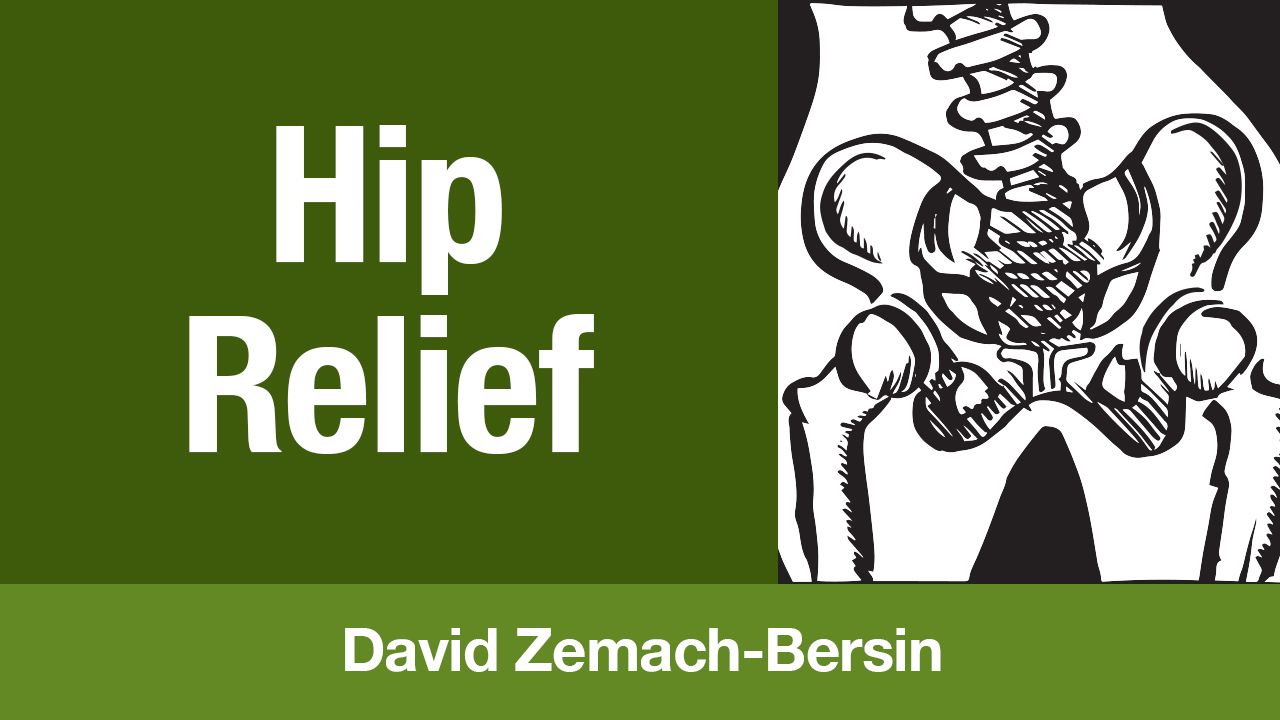 X-ray view of hip bones connection to leg bones and a spine as an illustration of online Feldenkrais Method lessons for Hip Relief