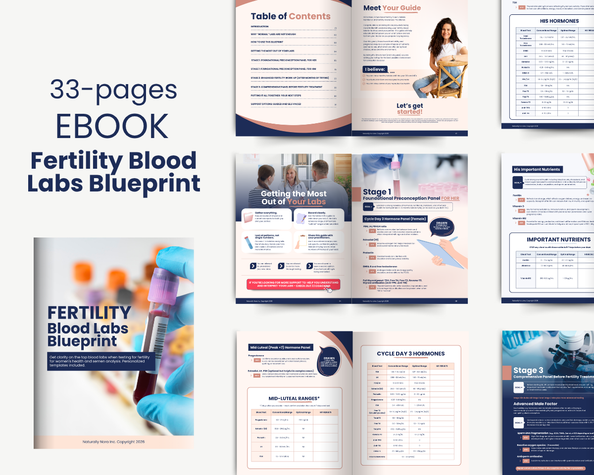 naturally nora - fertility coach fertility blood labs blueprint