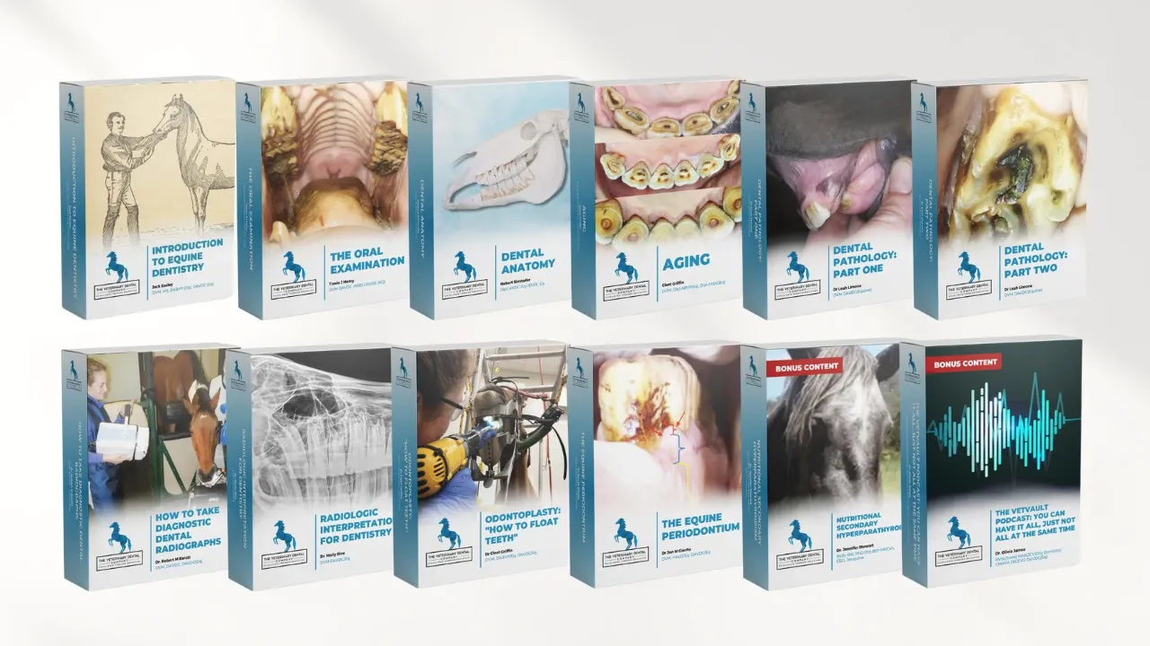 The Equine Practice Company