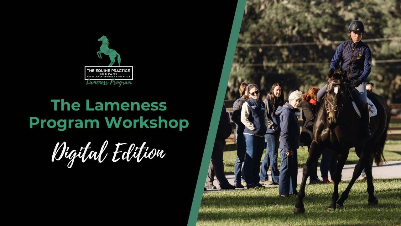 The Equine Practice Company