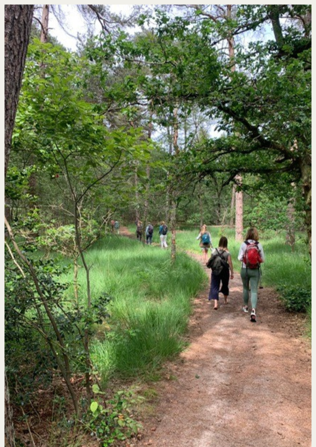 ggroep leiders en professionals tijdens embodied leadership wandelmoment in de bossen bij Cromvoirt Den Bosch