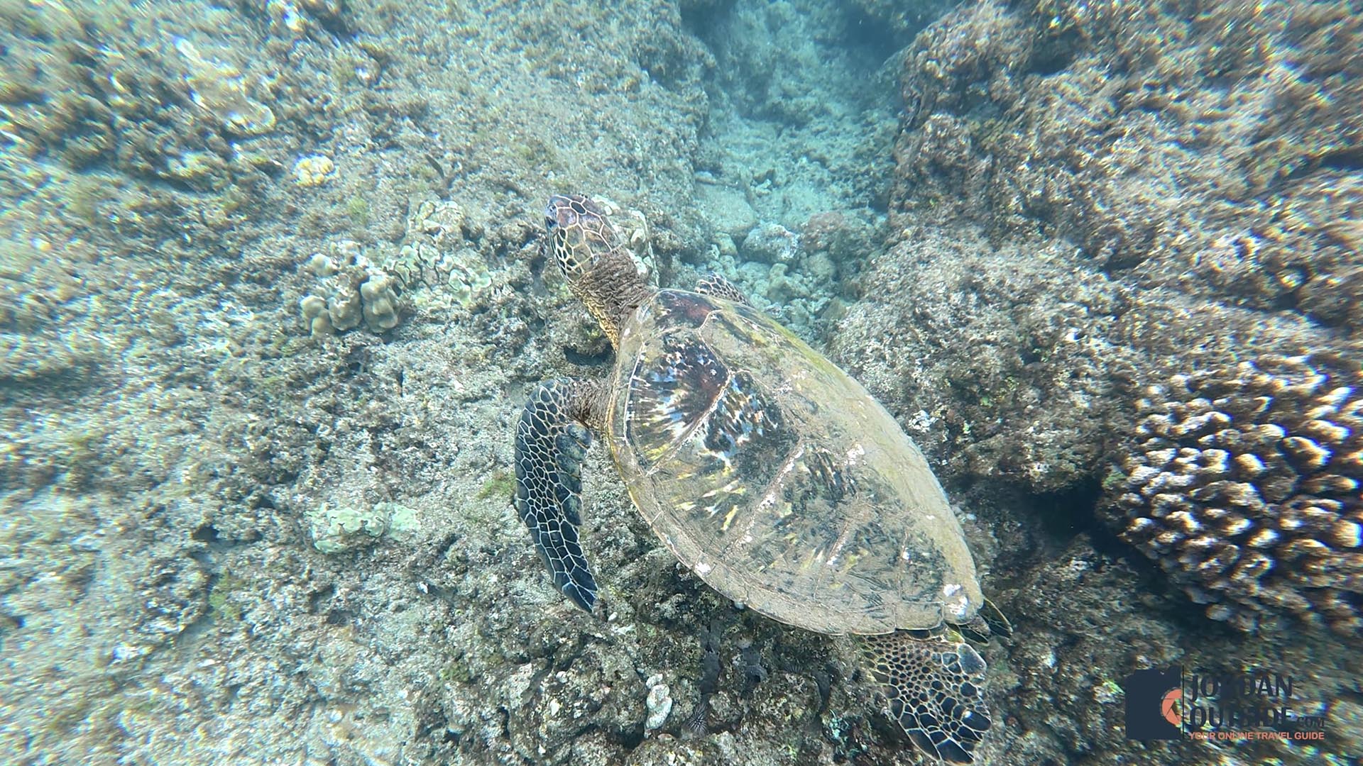 Honolua Bay, Maui