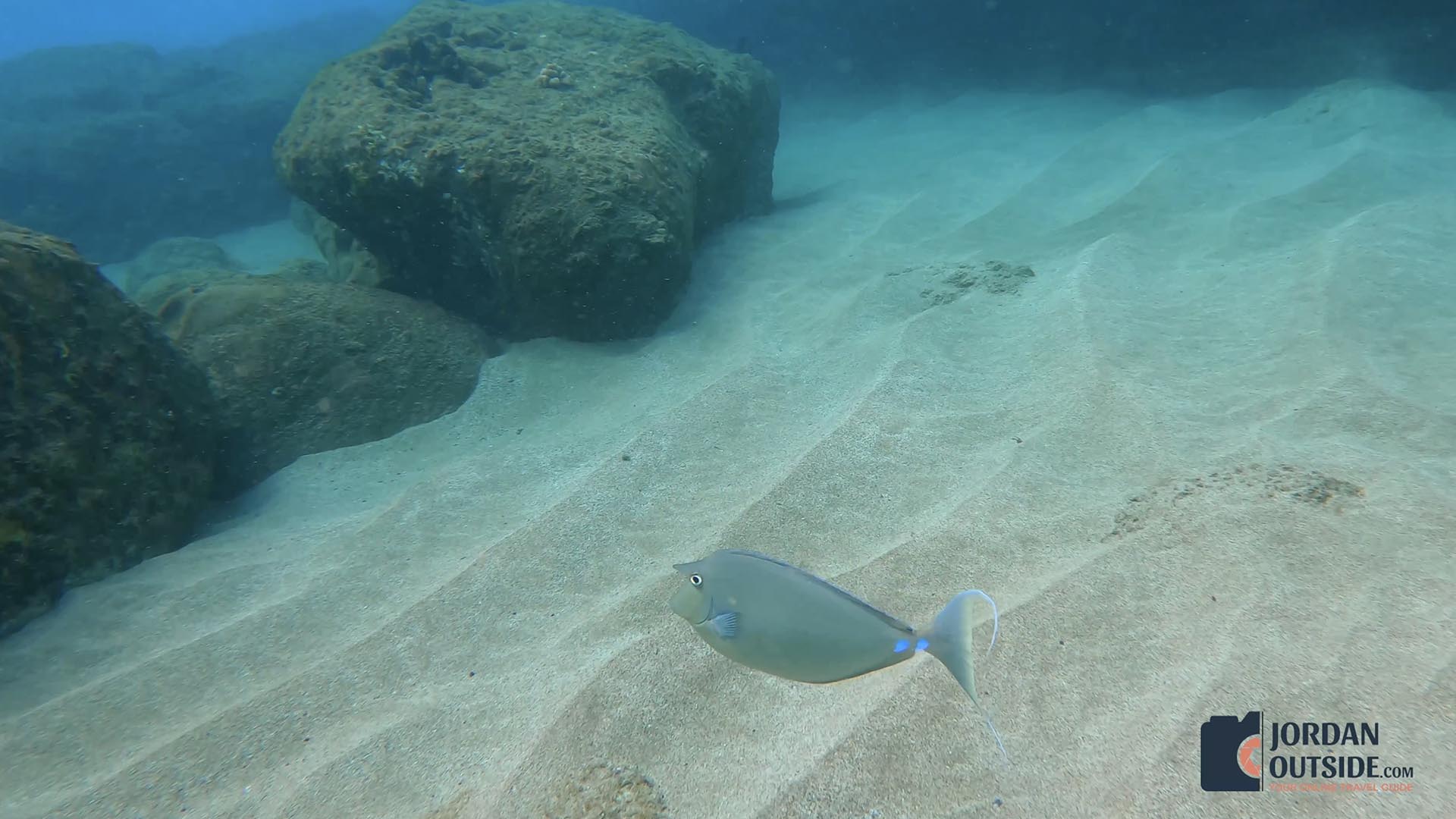 Slaughterhouse Beach - Mokule'ia Beach, Maui