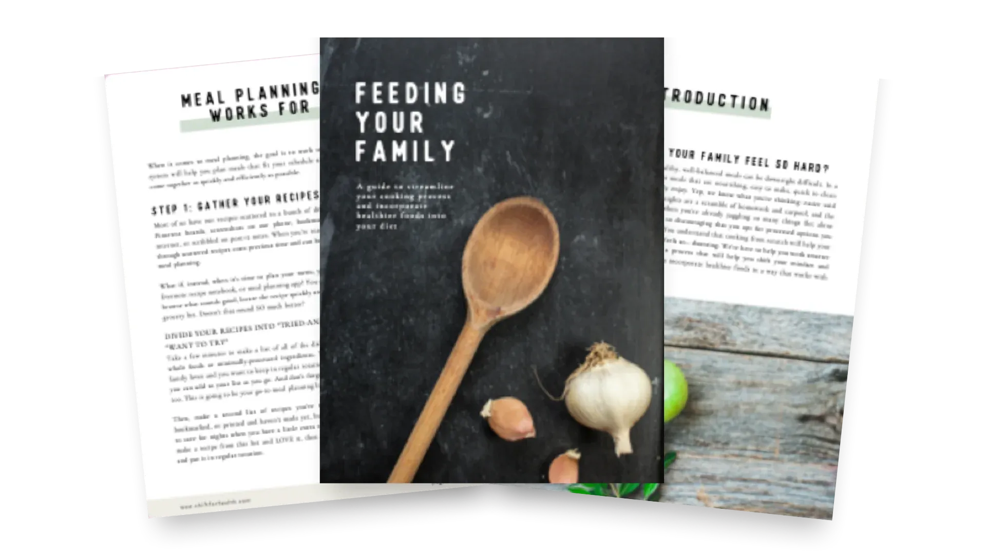 Feeding Your Family eBook by Shift for Health