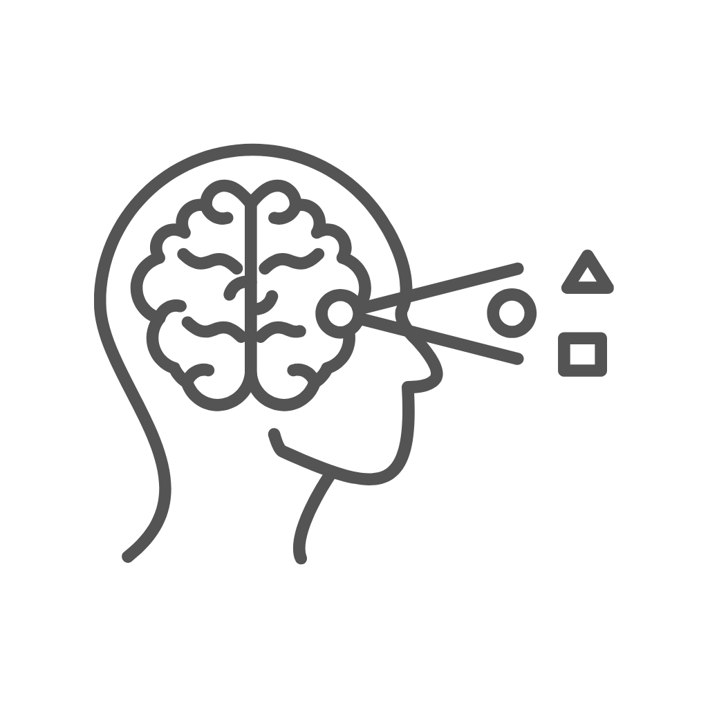 Seminar: Training des visuellen Systems