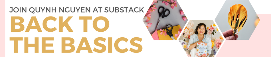 BACK TO THE BASICS WITH QUYNH NGUYEN ON SUBSTACK