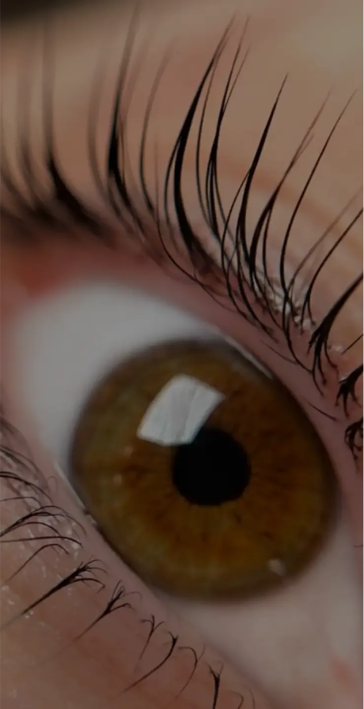 why partner with lash lift