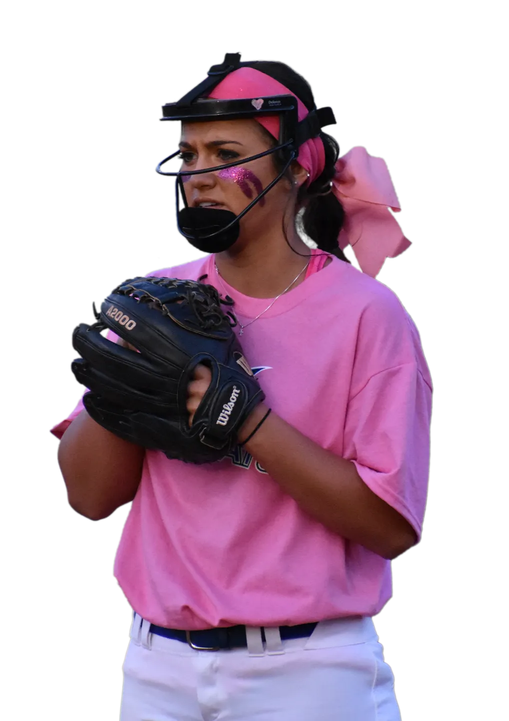 DR3 Fastpitch Elite Fastpitch Softball Pitching Academy Coach D