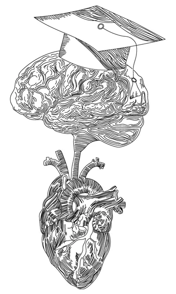 Nervous System School Vagus Nerve located in the body