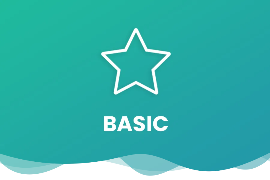 Basic Course