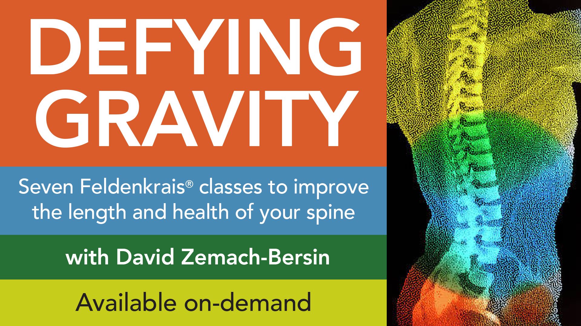 Back of person with see-through upper torso showing a curved spine in multiple colors as an illustration of online Feldenkrais Method lessons for Defying Gravity