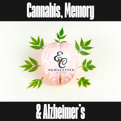 puzzle pieces with the words mental health on an orange background