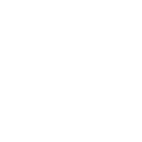 Bi-Monthly Reflection Circles