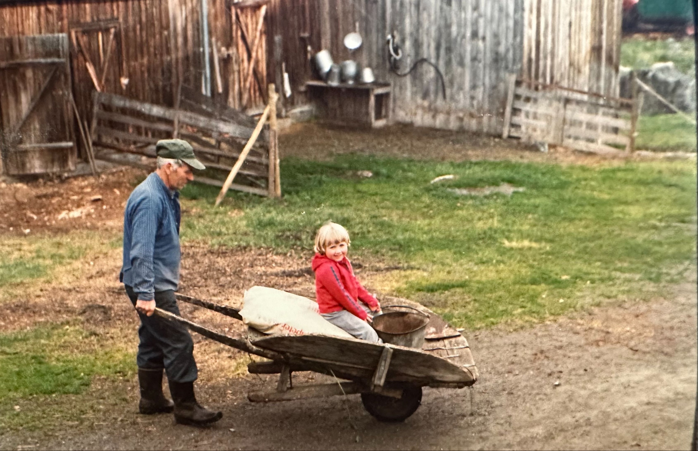 Goffa triller Målfrid i trillebår