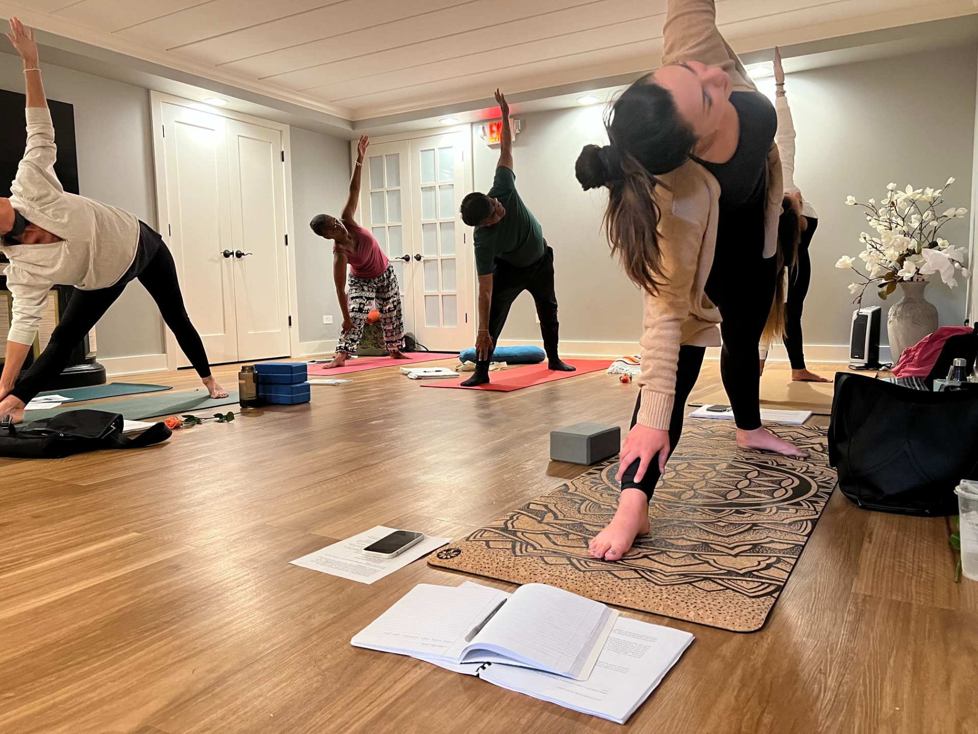 1:1 Yoga Instruction in Mundelein, IL
