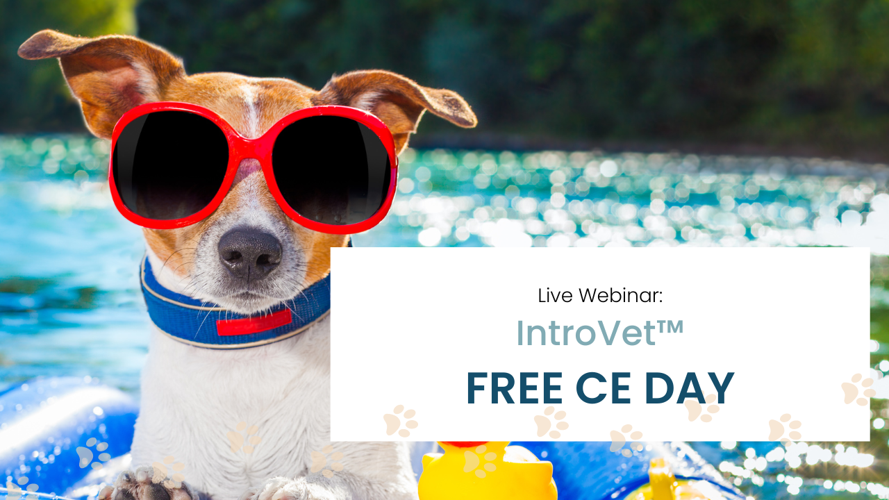 Online Veterinary CE