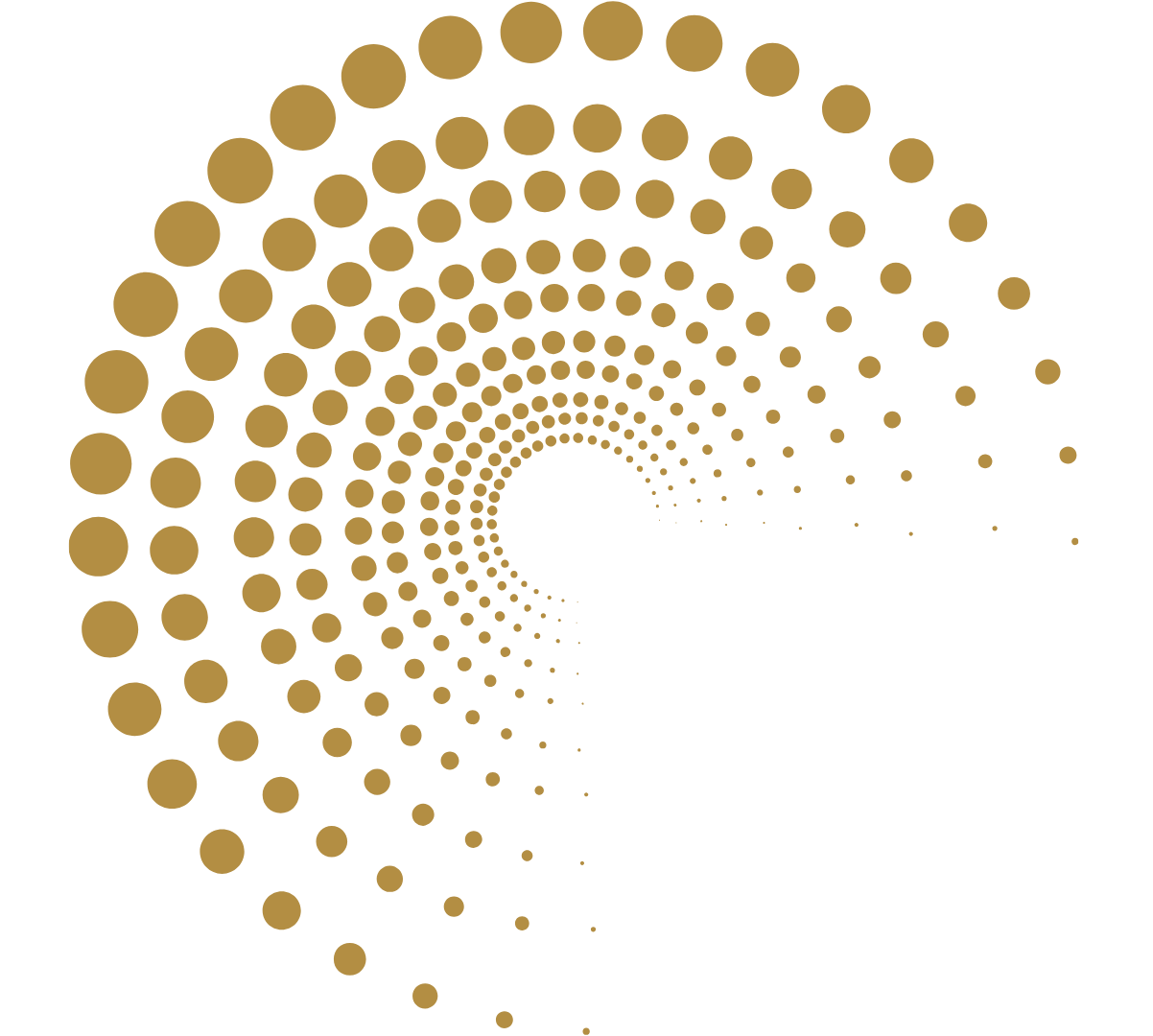 Gold Dots in broken concentric circles representing The Self Trust Coach approach of leading from the inside out without prescribed formulas