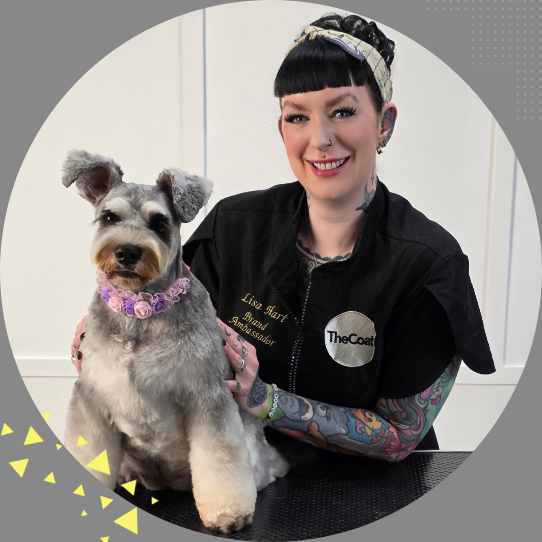 Pet Sense College