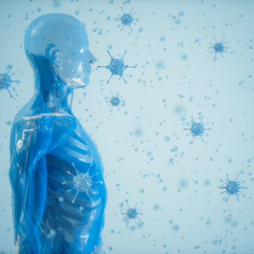 Human Immune system and bacteria that cause inflammation.