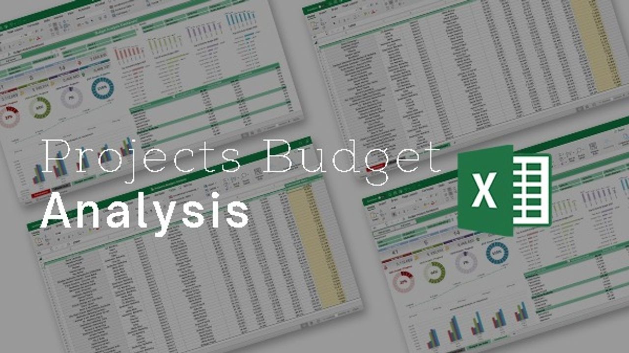 Project Budget Analysis