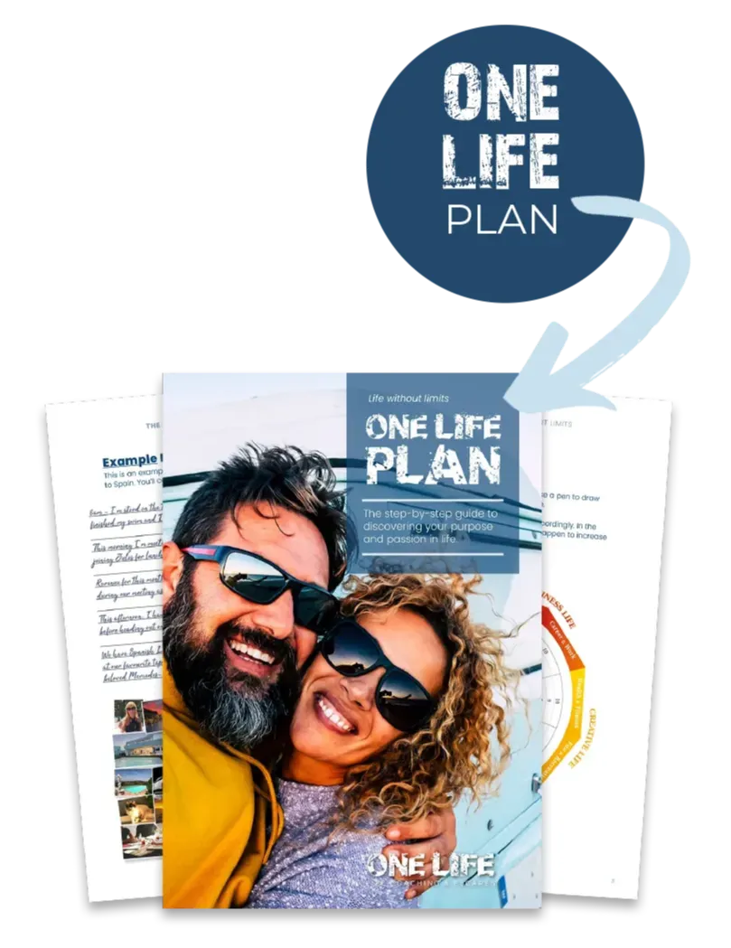 ONE LIFE PLAN Guide