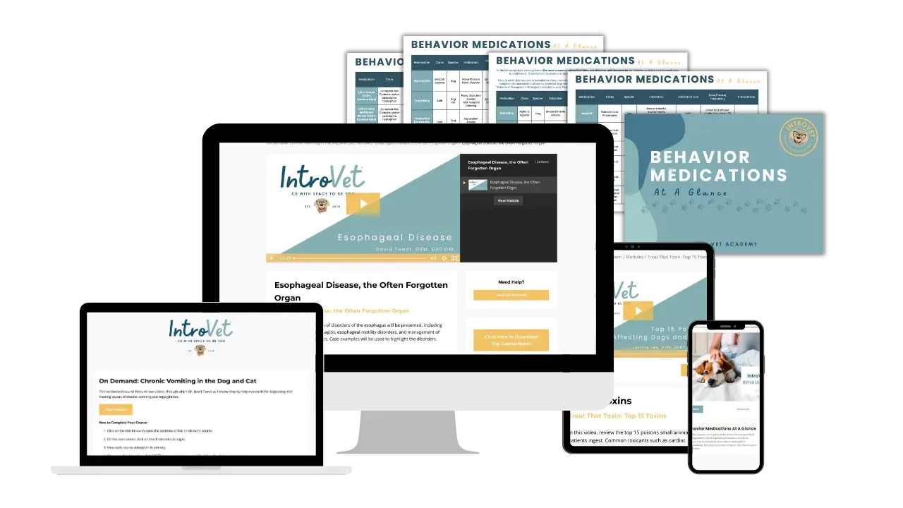 Online Veterinary CE