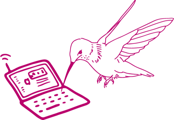 Hand-drawn hummingbird tinkering with laptop coloured in pink