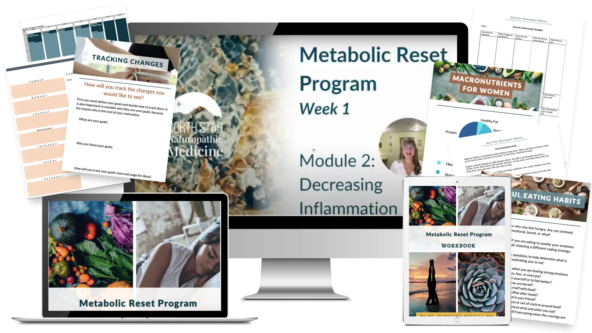 Mock up of the Metabolic Reset Program