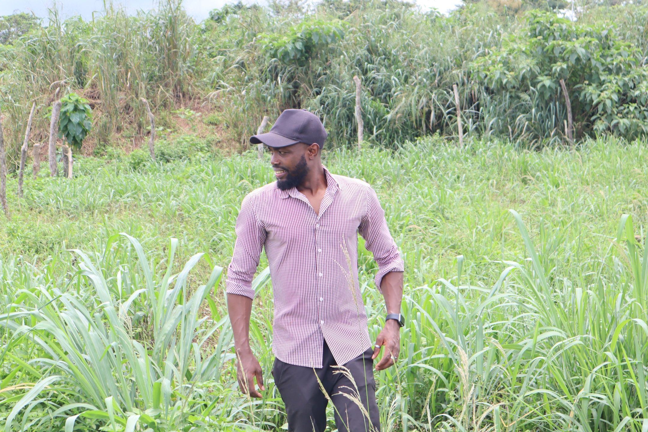 5 Secrets To A Successful Farmer