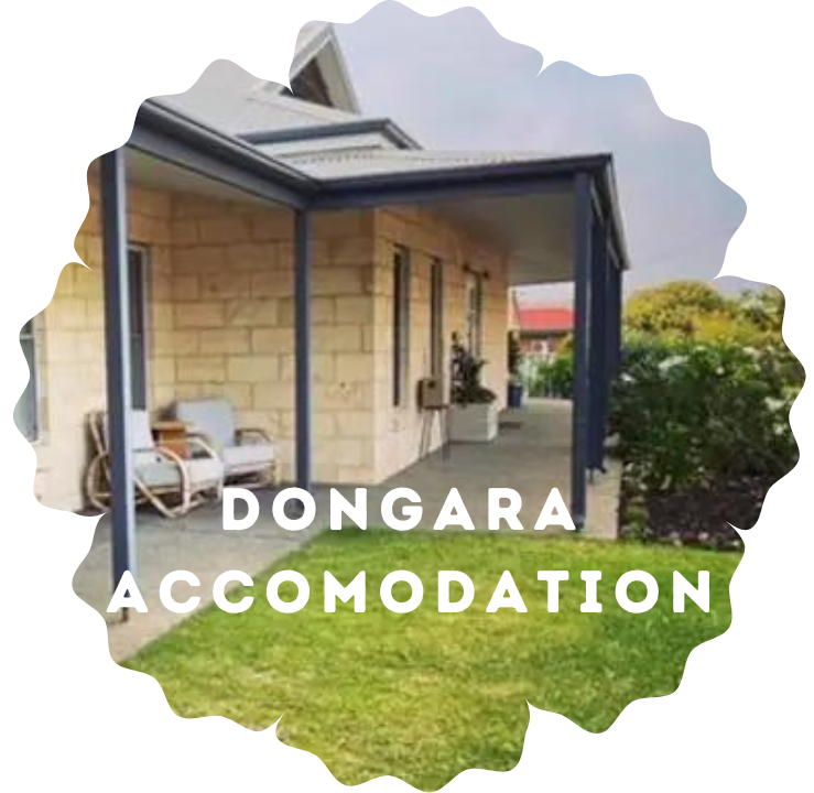 Geraldton Earth Walker Retreat with Rachael Te Wano