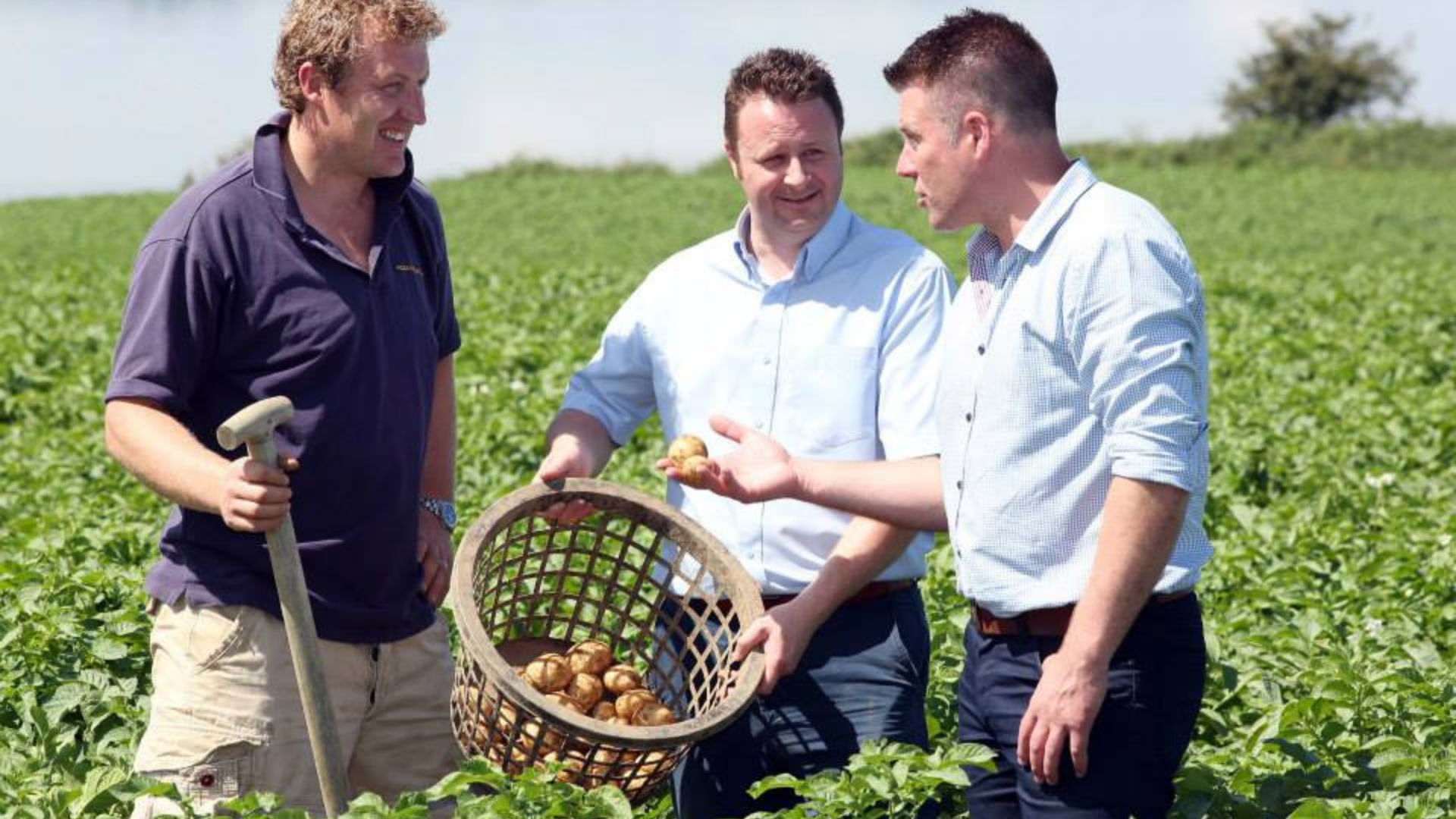 Glens of Antrim Potatoes