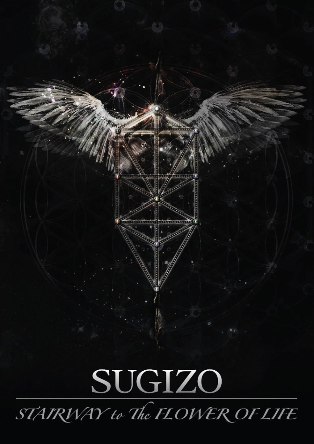 SUGIZO 「Stairway to the Flower of Life」(2012年/パフォーマンス出演)