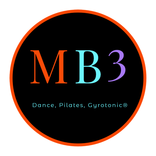 Header Logo