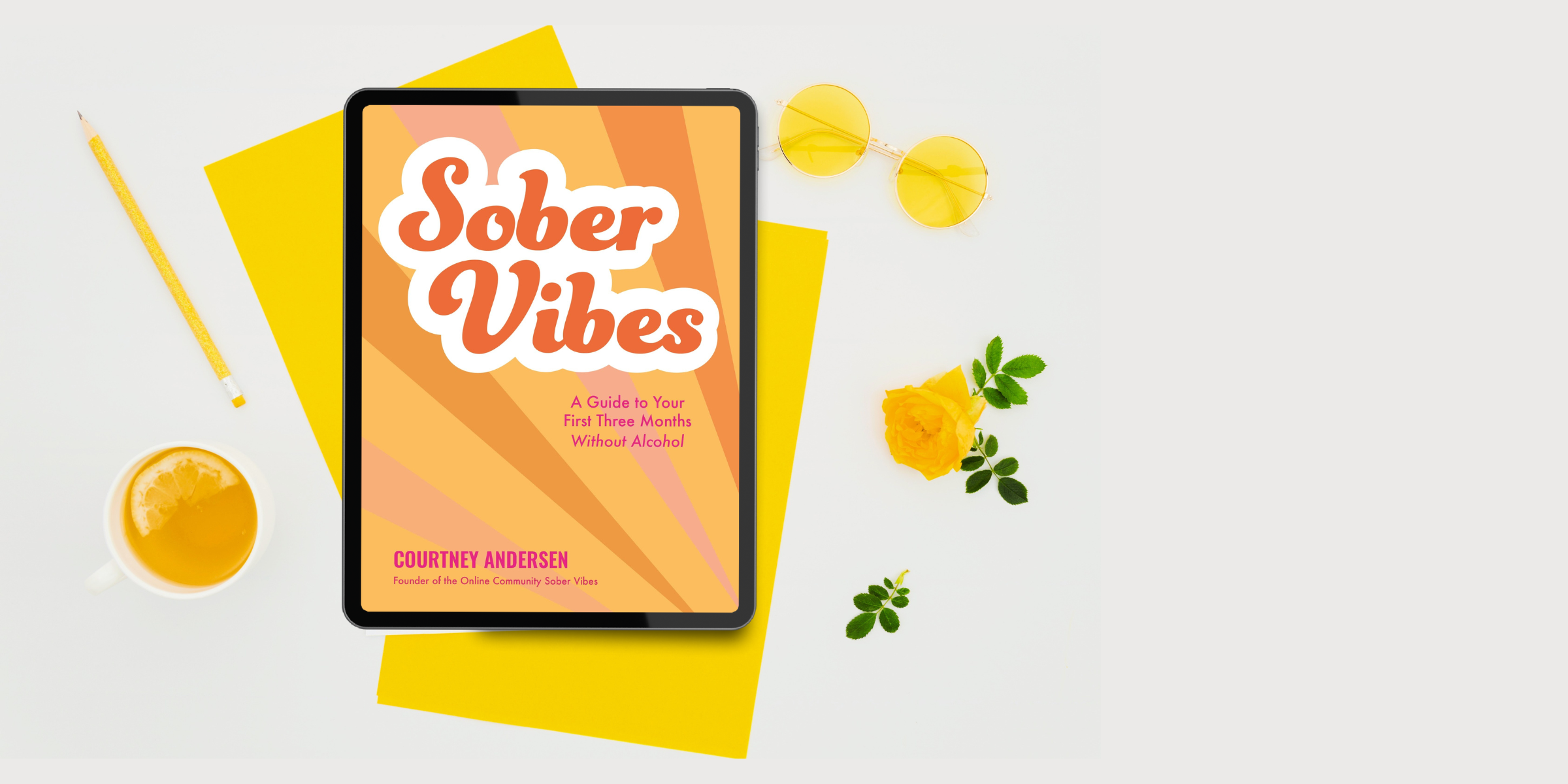Sober Vibes book by Courtney Andersen