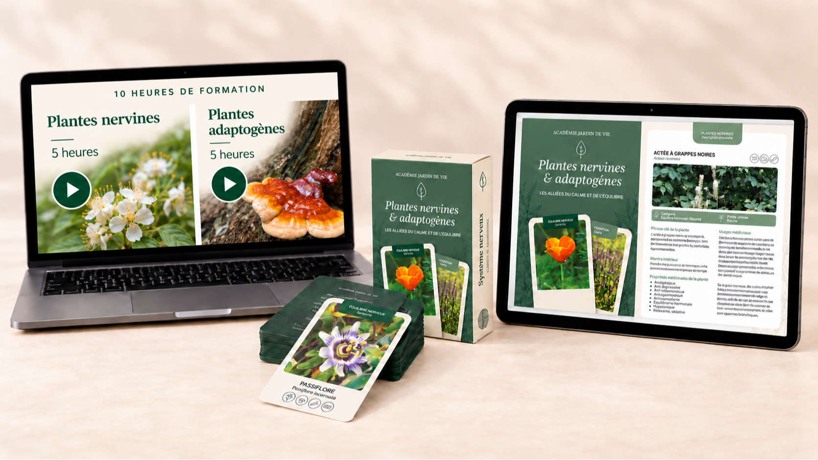 Coffret Plantes nervines et adaptogènes