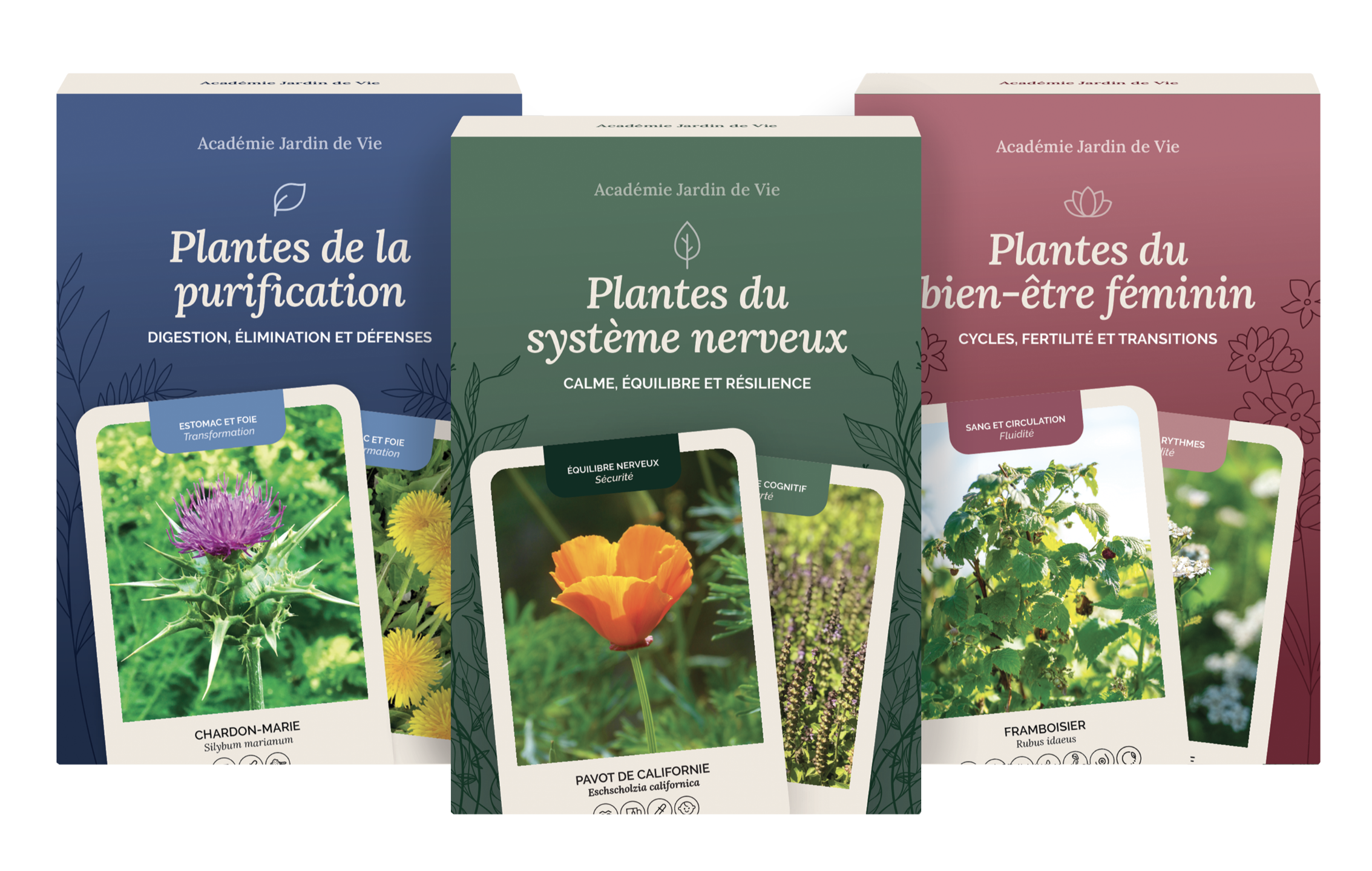 Collection Cartes Jardin de Vie : coffrets Plantes du système nerveux, Plantes du bien-être féminin et Plantes de la purification.