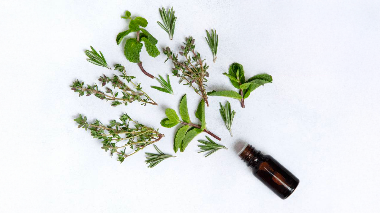 Aromathérapie professionnelle programme en ligne certifiant et reconnu Aromathérapie intégrale, niveau 2 Par : Véronik Tanguay