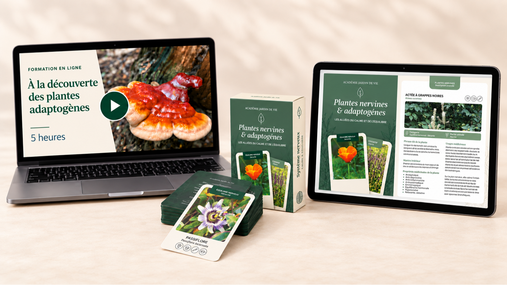 Jeu et formation sur les plantes adaptogènes