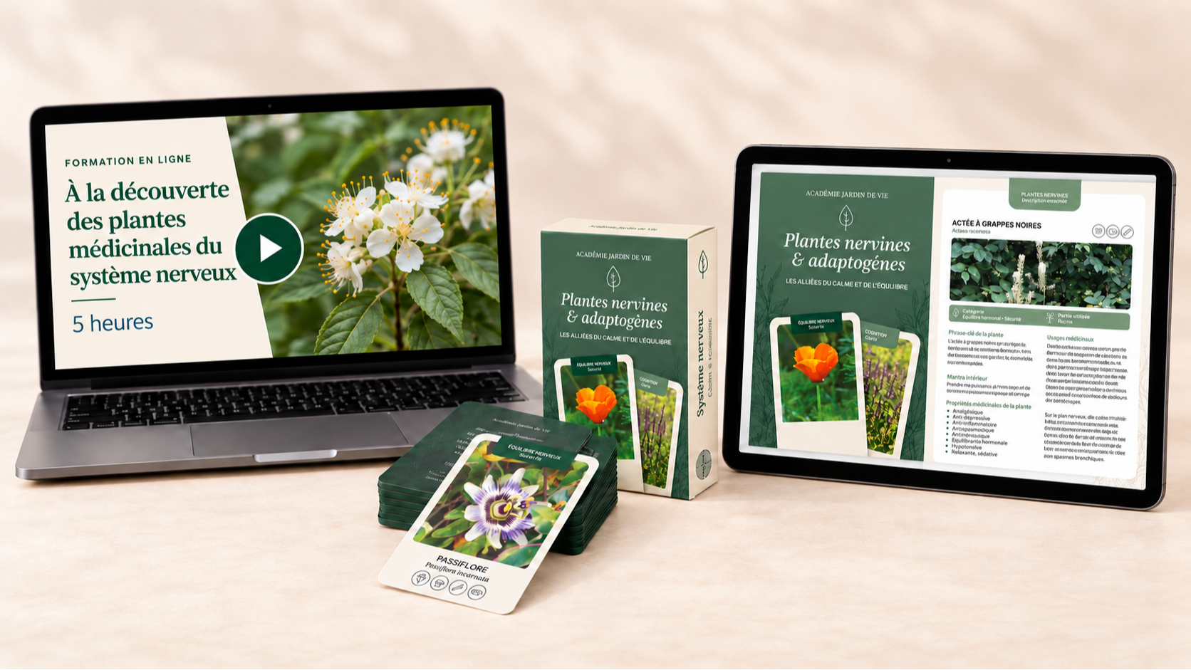 Coffret Plantes nervines et adaptogènes