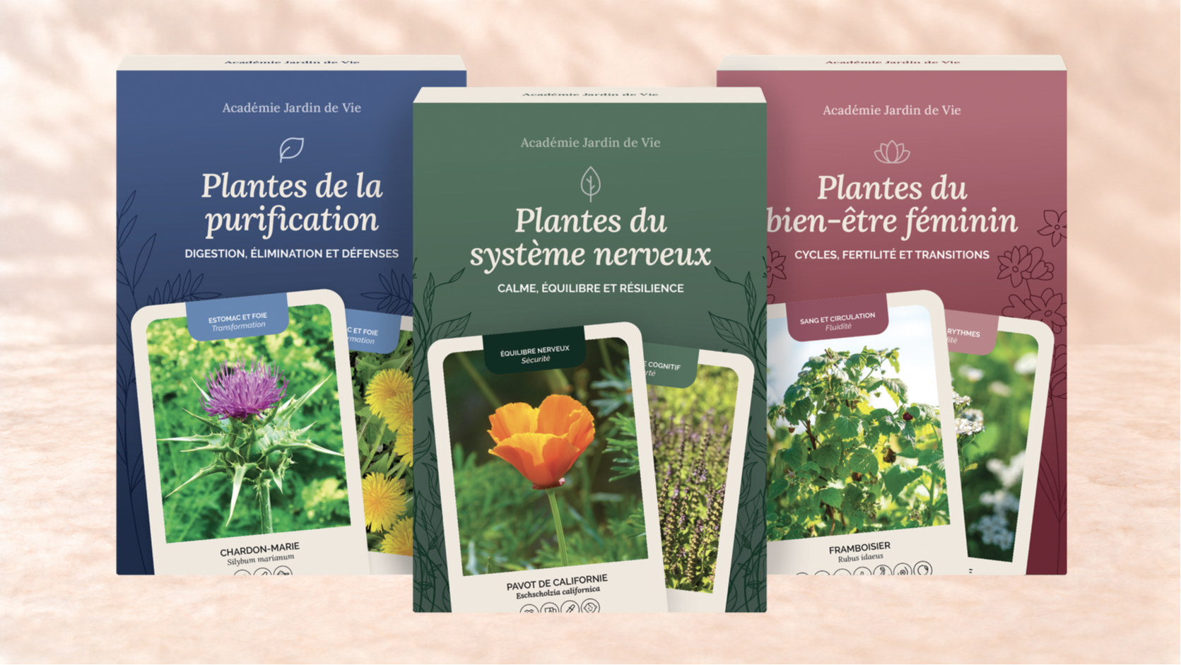 Trois jeux de cartes Jardin de Vie : Plantes de la purification, Plantes du système nerveux et Plantes du bien-être féminin