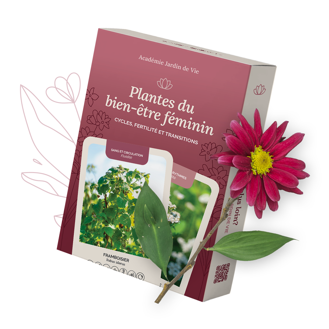 Coffret Plantes du bien-être féminin