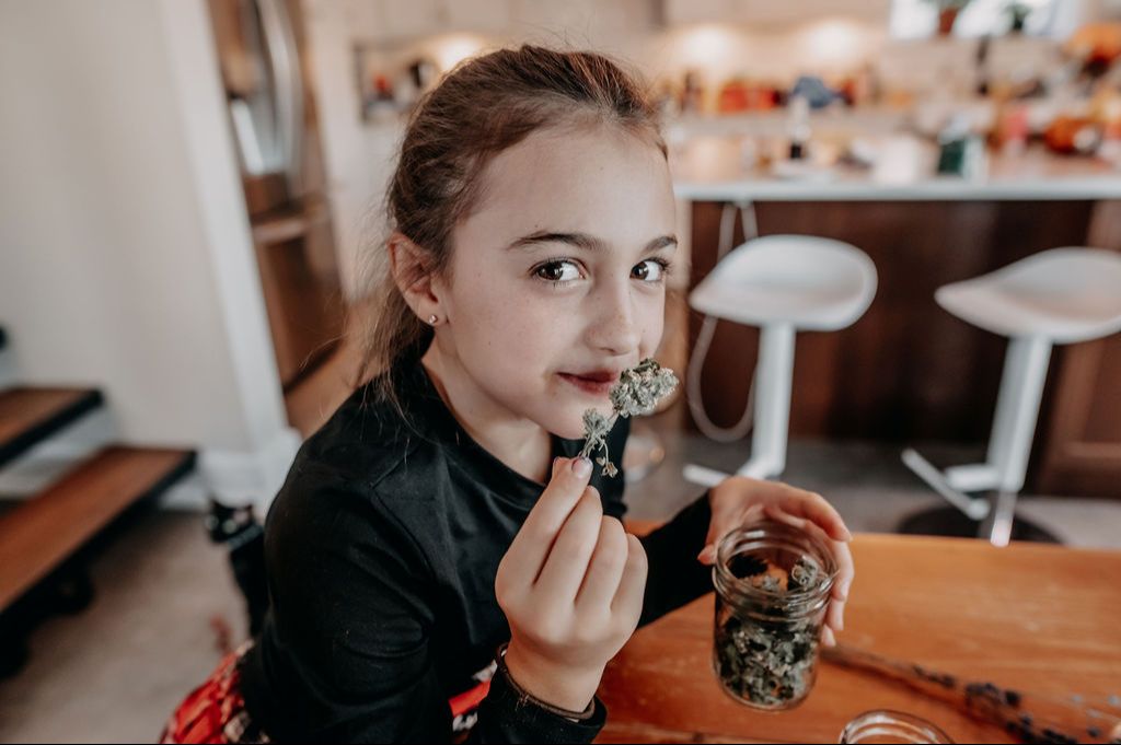 Découverte des plantes