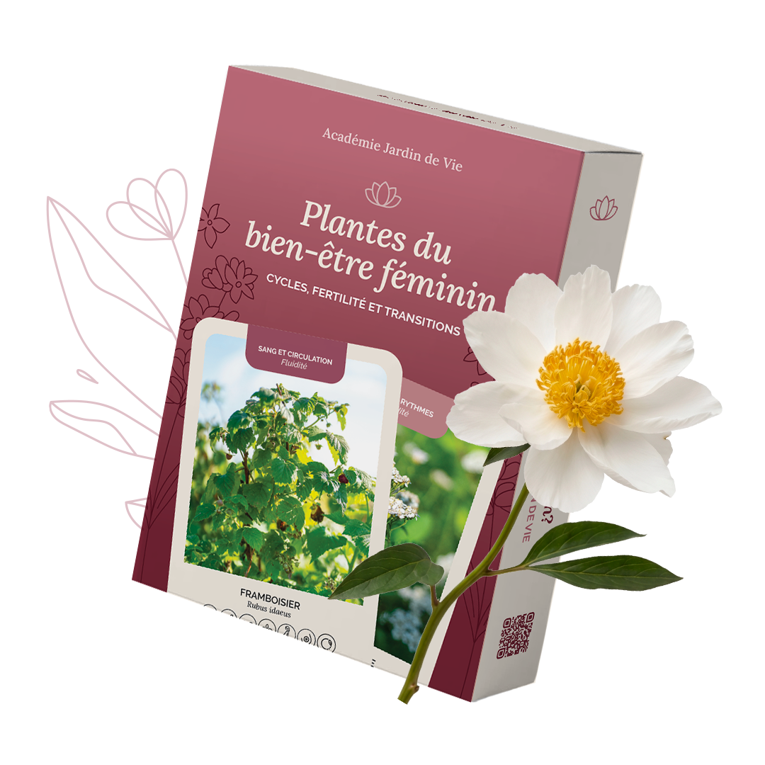 Jeu de cartes Plantes du bien-être féminin