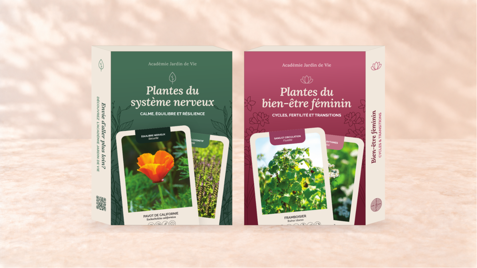 Deux jeux de cartes Jardin de Vie : Plantes du système nerveux et Plantes du bien-être féminin