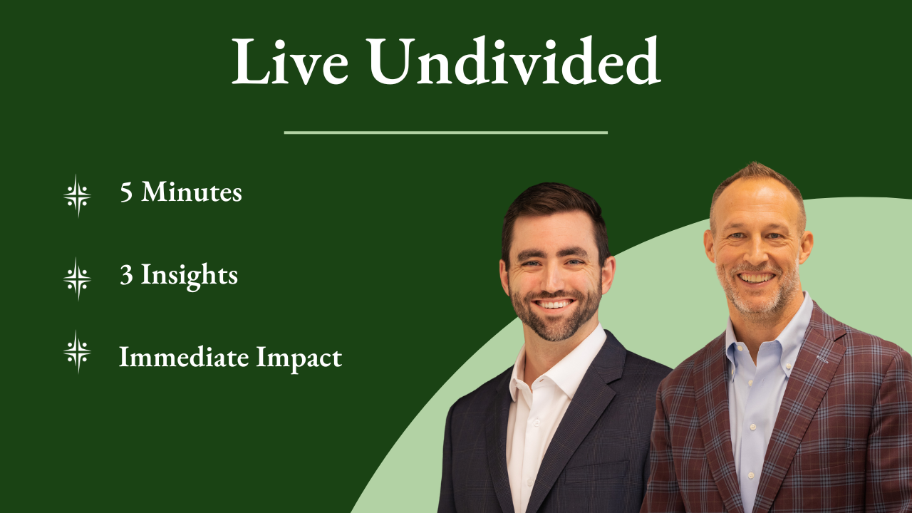 Undivided Life Newsletter Cover Art