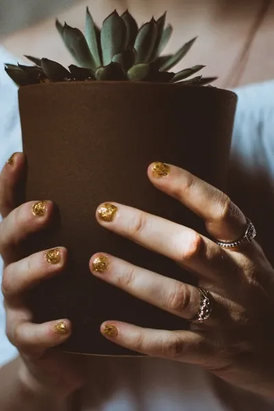 Picture of woman holding planter pot