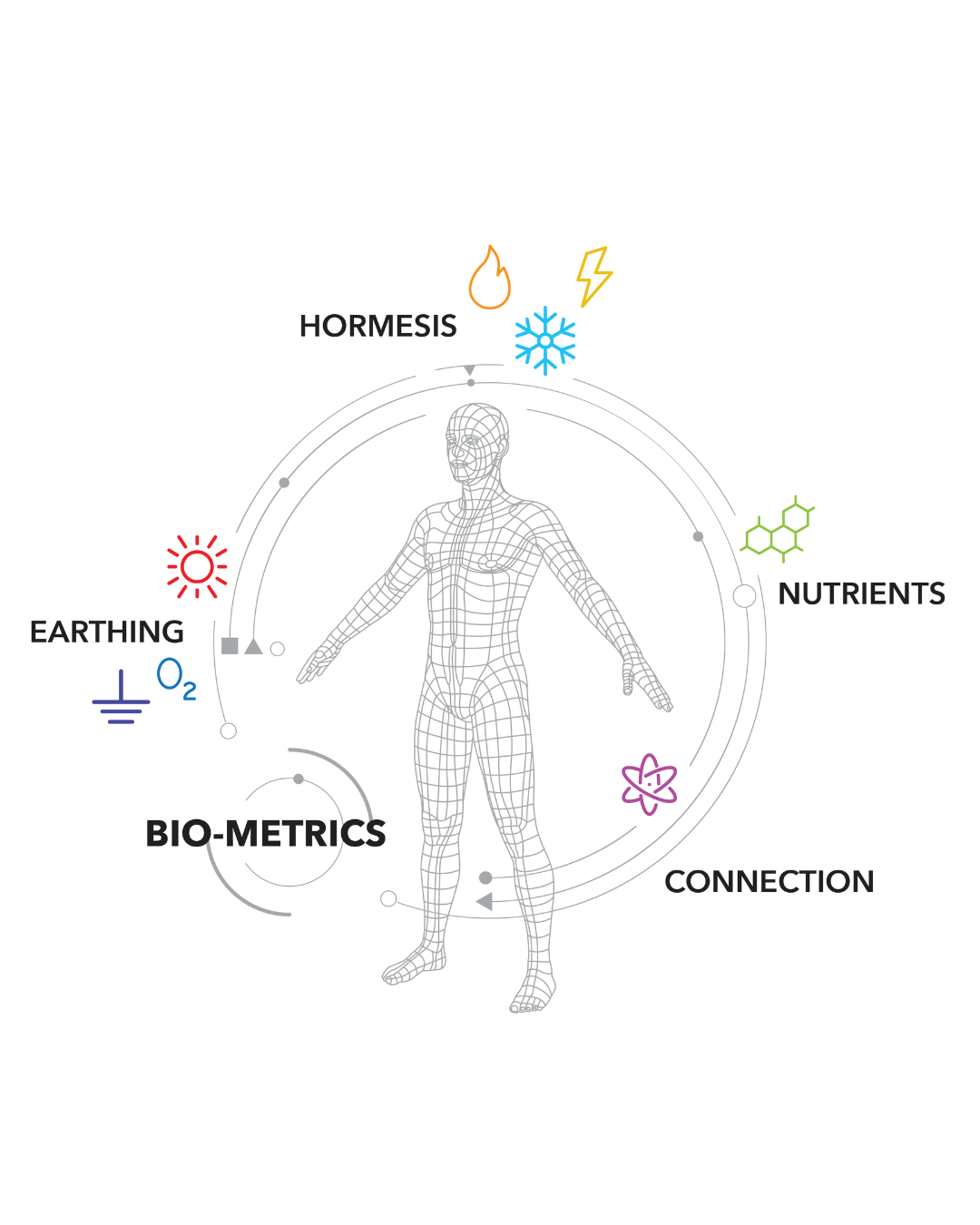 Graphic representation of Evergreen Factor's commitment to holistic wellness, with an image of a man at the center of a circle. The five pillars—Earthing, Hormesis, Nutrients, Connection, and Bio-Metrics—are highlighted, reflecting Evergreen Factor's approach to wellness in Lake Oswego, Oregon.