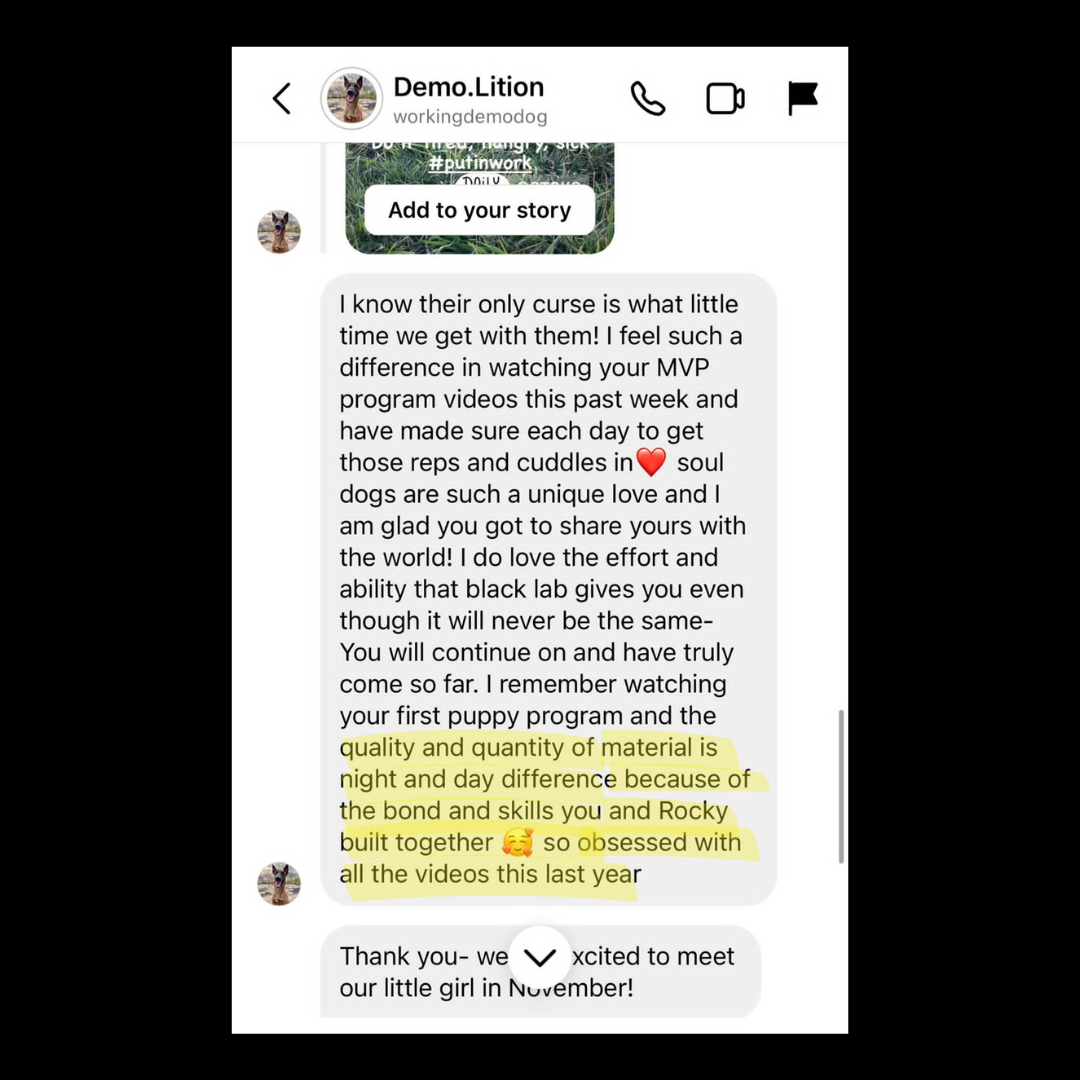 STSK9 Master View Path Dog Training Certification Program